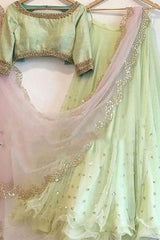 DW-109 Lehnga Choli