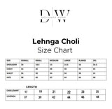 DW-109 Lehnga Choli